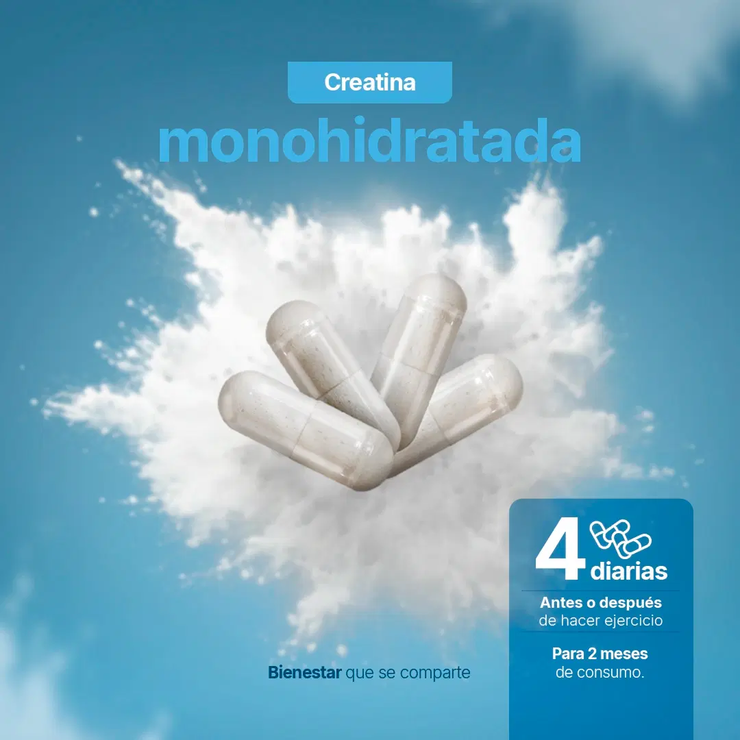 Imagen de Creatina Monohidratada Micronizada | 240 Cápsulas | Alta Pureza